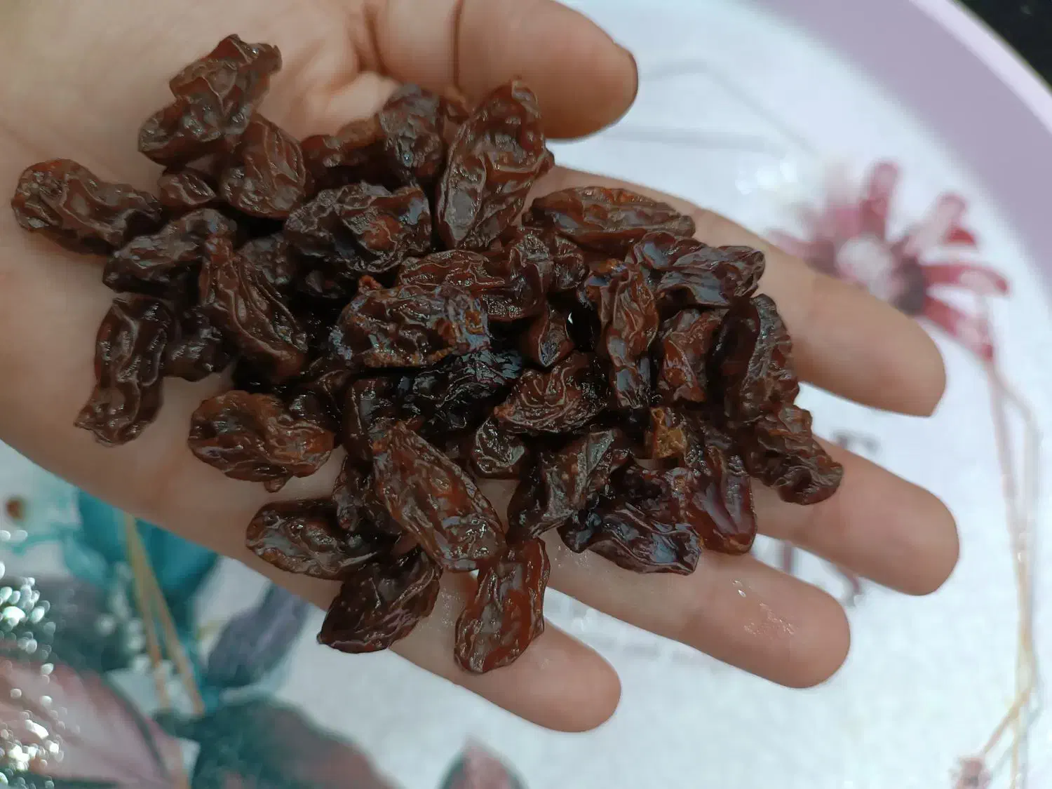 مویز خانگی|خوردنی و آشامیدنی|شیراز, شهرک فرهنگیان|دیوار