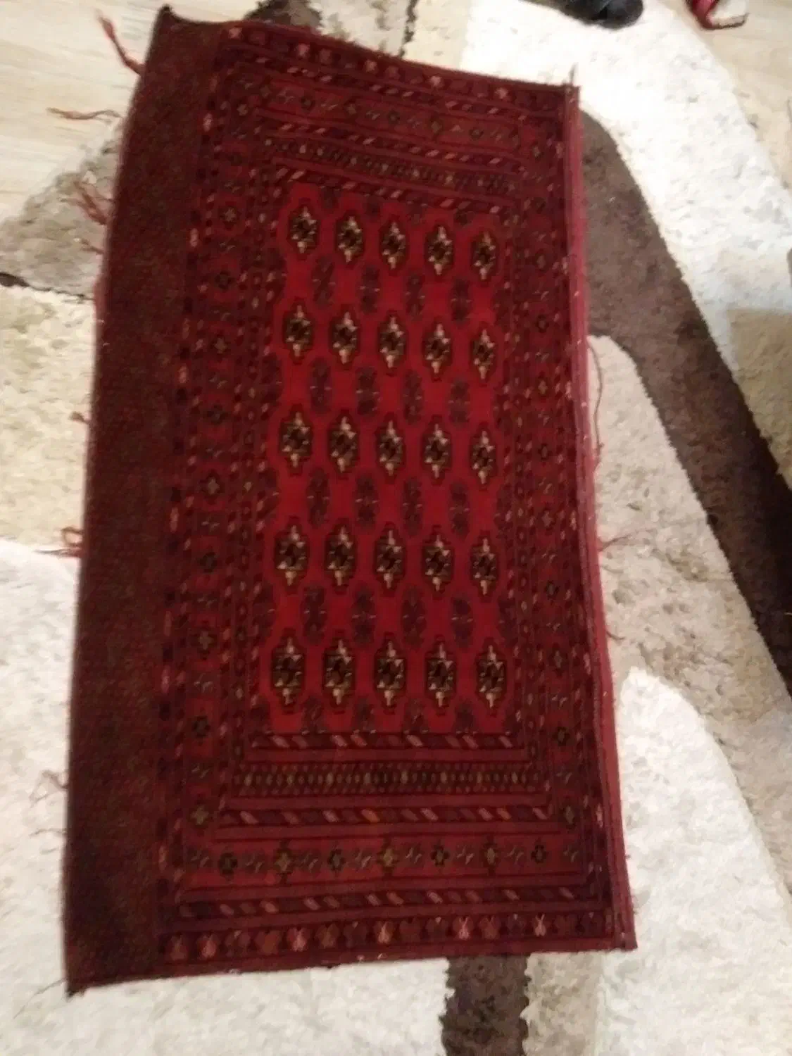 قالیچه دستبافت|گلیم، جاجیم، گبه|مشهد, موسوی قوچانی|دیوار