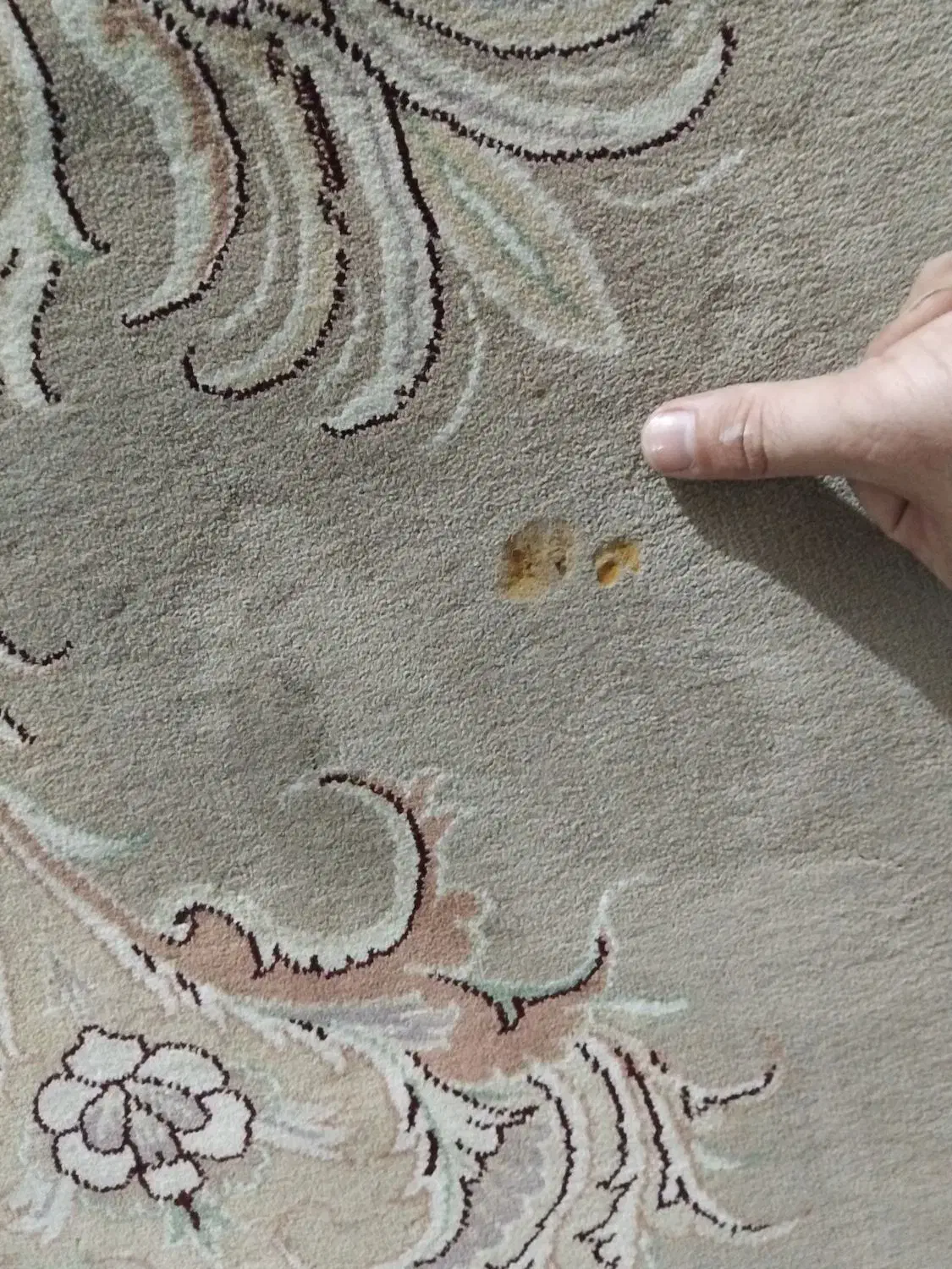 ۱ تخته فرش ۱۲ متری|فرش|بابلسر, |دیوار