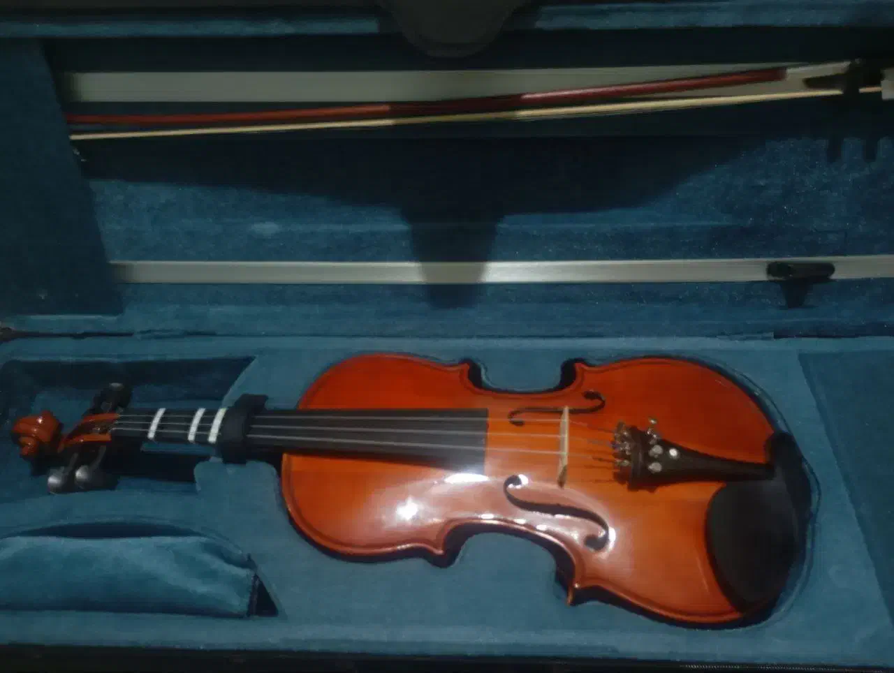 ویولن|ویولن|ملایر, |دیوار