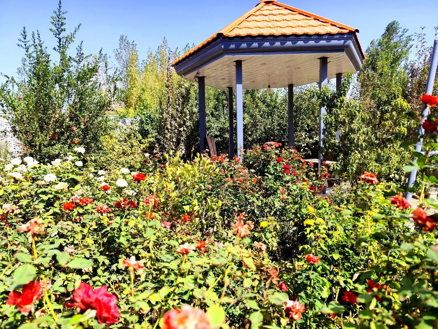 ( معنی فول رو با این ویلا درک میکنید ) ۵۰۰ متر|فروش خانه و ویلا|ماهدشت, |دیوار