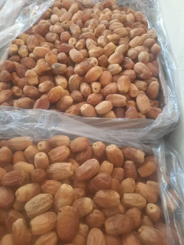 فروش خرما زاهدی|عمدهفروشی|میان جلگه, |دیوار