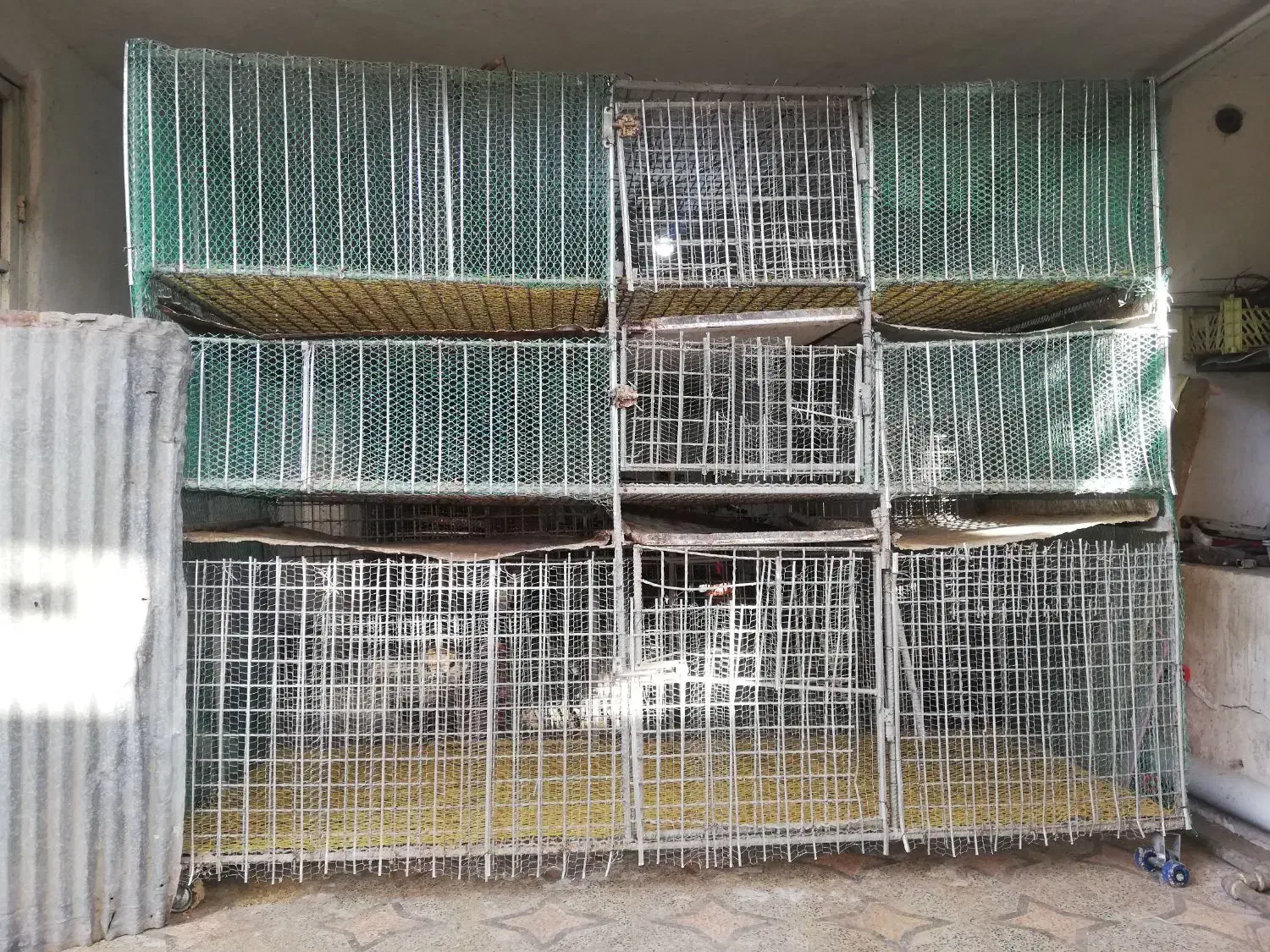 قفس آهنی|لوازم جانبی حیوانات|شیرگاه, |دیوار