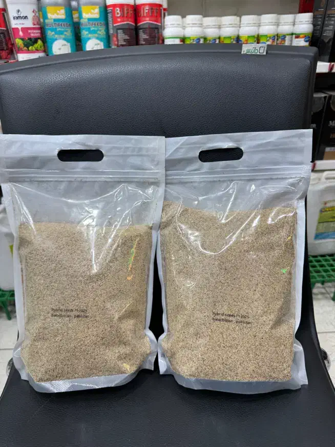 بذر اصلاح شده|گل و گیاه طبیعی|دزفول, |دیوار