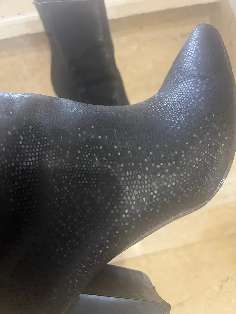 بوت|کیف، کفش، کمربند|اردبیل, |دیوار