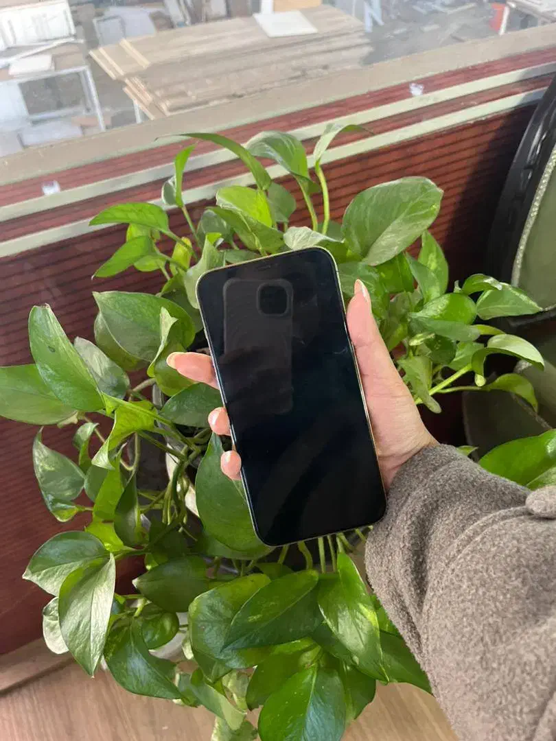 ایفون ۱۲ پرومکس|موبایل|گرگان, |دیوار