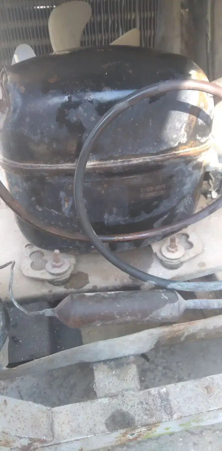 موتور فریزر صندوقی به شرط|یخچال و فریزر|چغادک, |دیوار