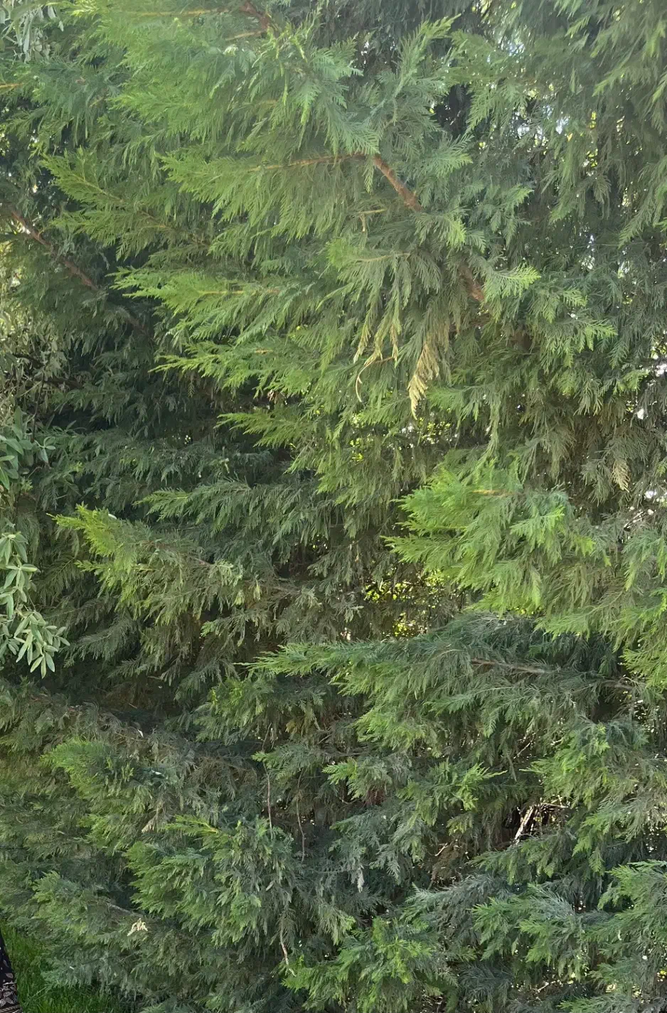 زمین کشاورزی بر جاده مابین ابهر و خرمدره|فروش زمین و ملک کلنگی|خرمدره, |دیوار