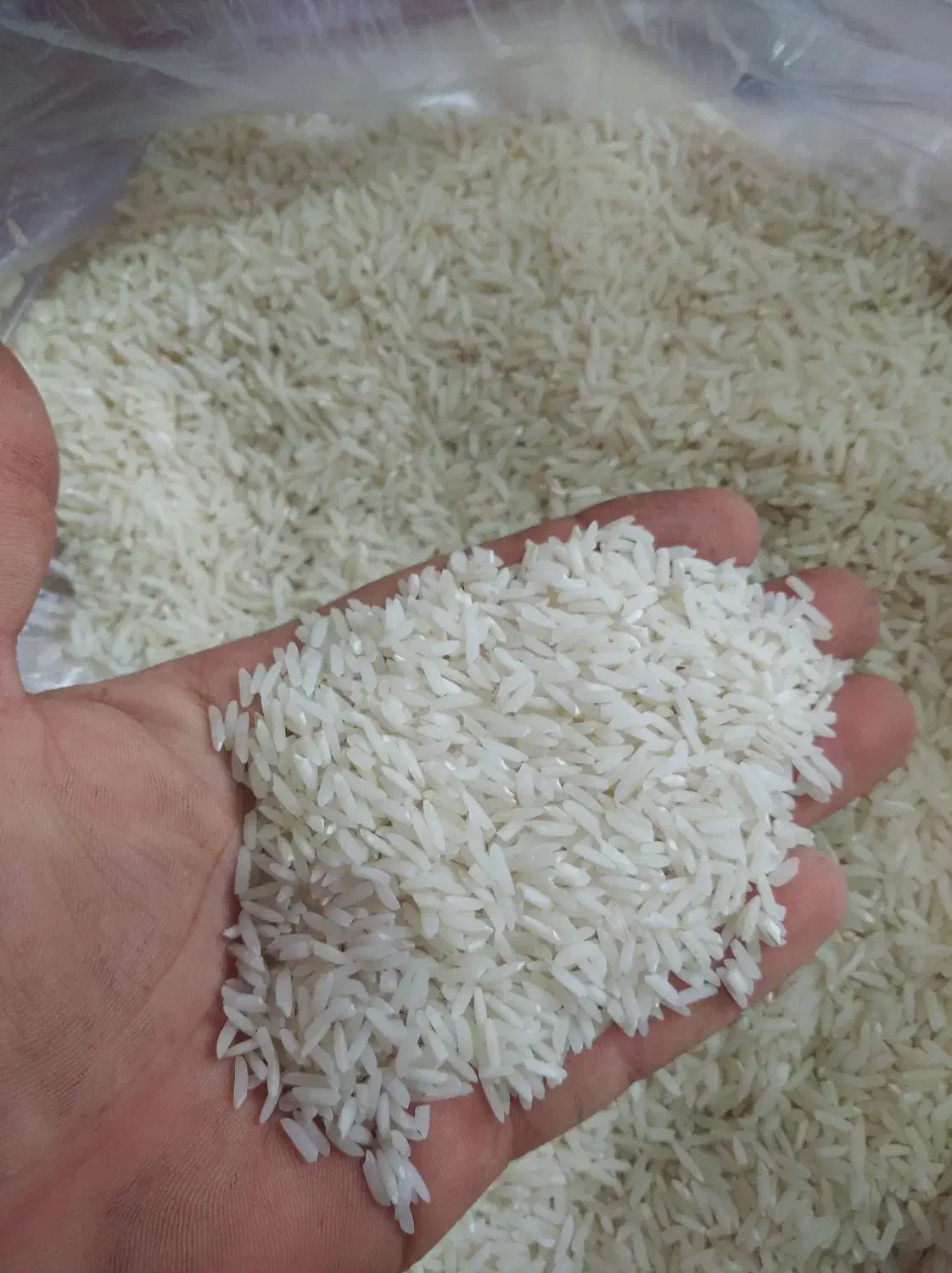 برنج هاشمی‌اعلا|خوردنی و آشامیدنی|کلاچای, |دیوار