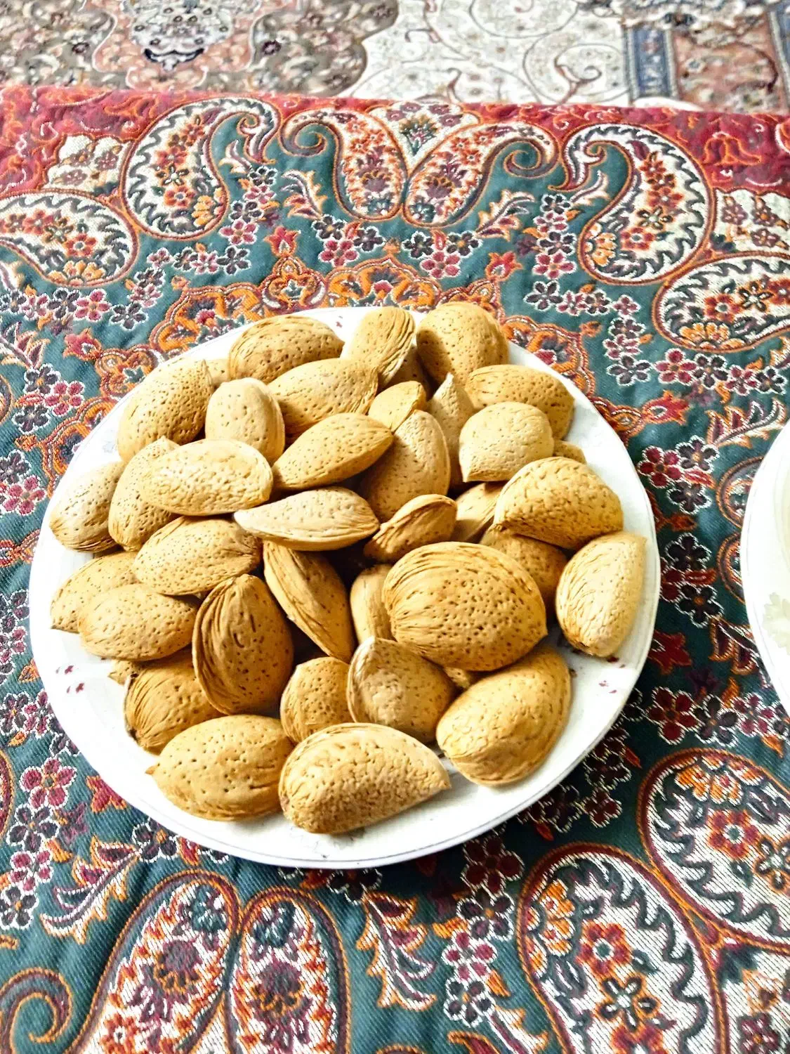 سیب و بادام مرغوب و ارگانیک|خوردنی و آشامیدنی|شیراز, شهرک گلدشت حافظ‎|دیوار