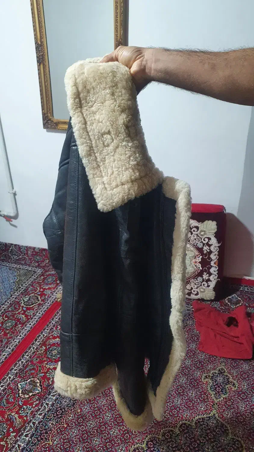 بوفالو خارجی اصل|لباس|کامیاران, |دیوار