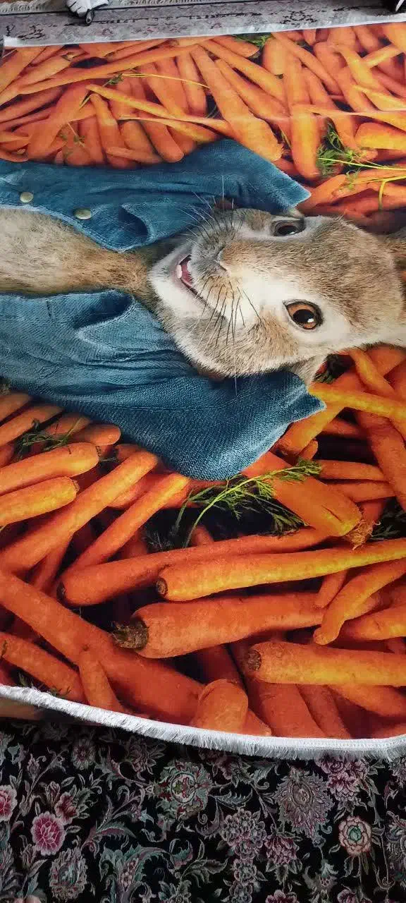 فرش اتاق کودک نو نو|فرش|کرج, ساسانی (قلمستان)|دیوار