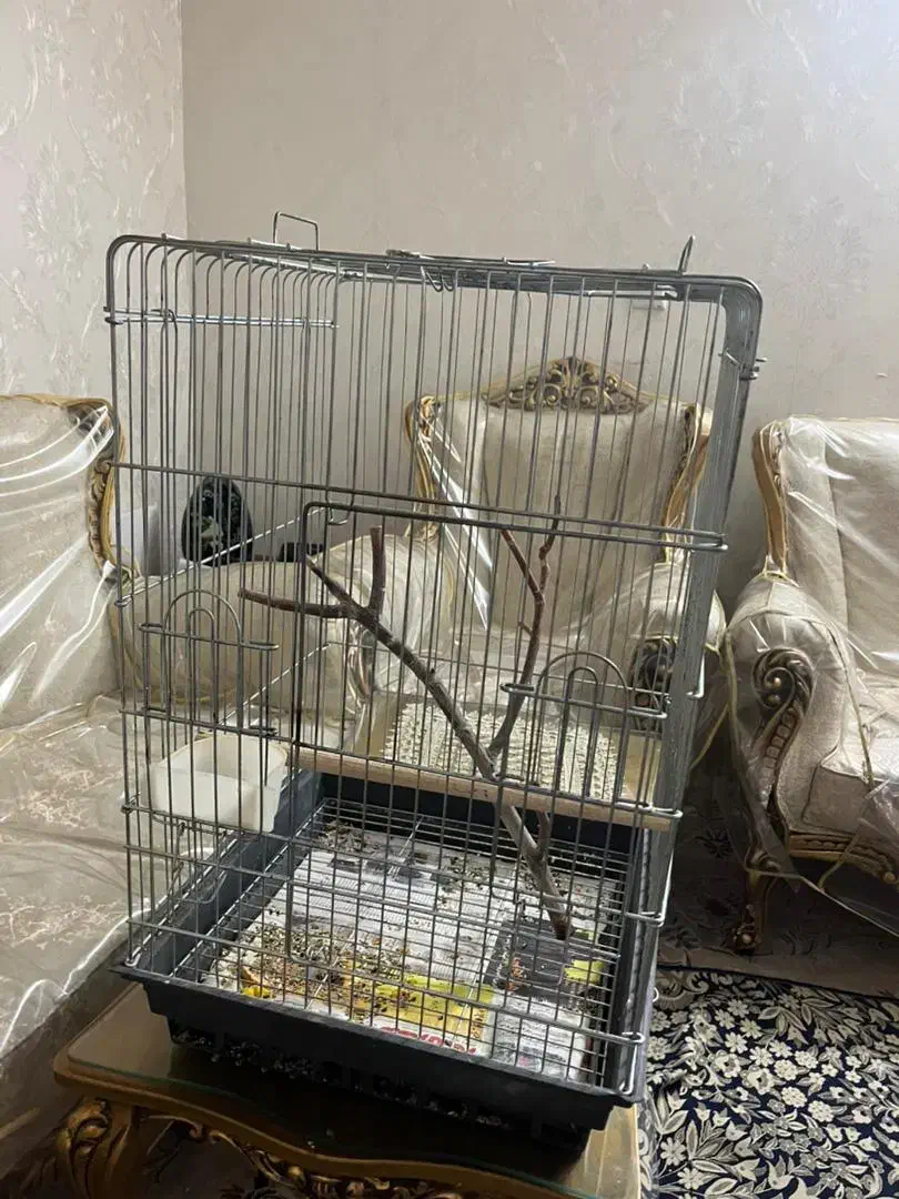 قفس بزرگ|لوازم جانبی حیوانات|تهران, اسفندیاری|دیوار