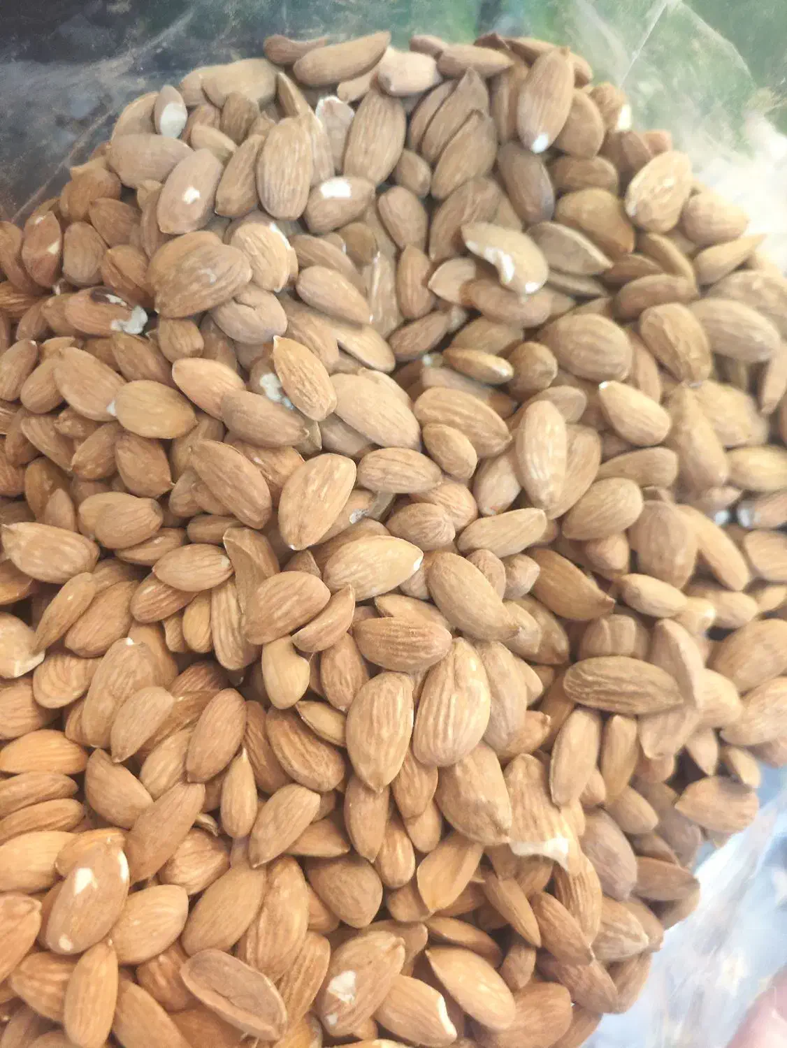 فروش مغز بادام|خوردنی و آشامیدنی|شیراز, شهرک گلستان|دیوار