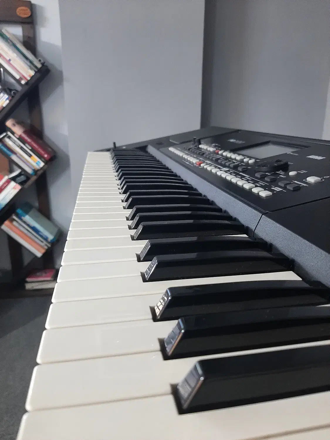 ارگ pa300 کرگ|پیانو، کیبورد، آکاردئون|لاهیجان, کوی زمانی|دیوار