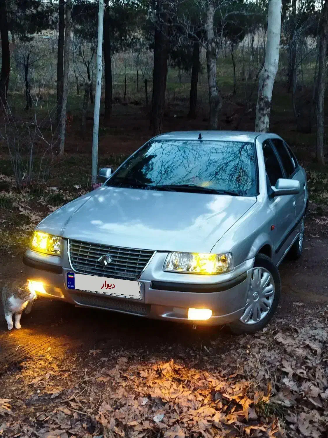 سمند مدل 83|خودرو سواری و وانت|سنندج, |دیوار