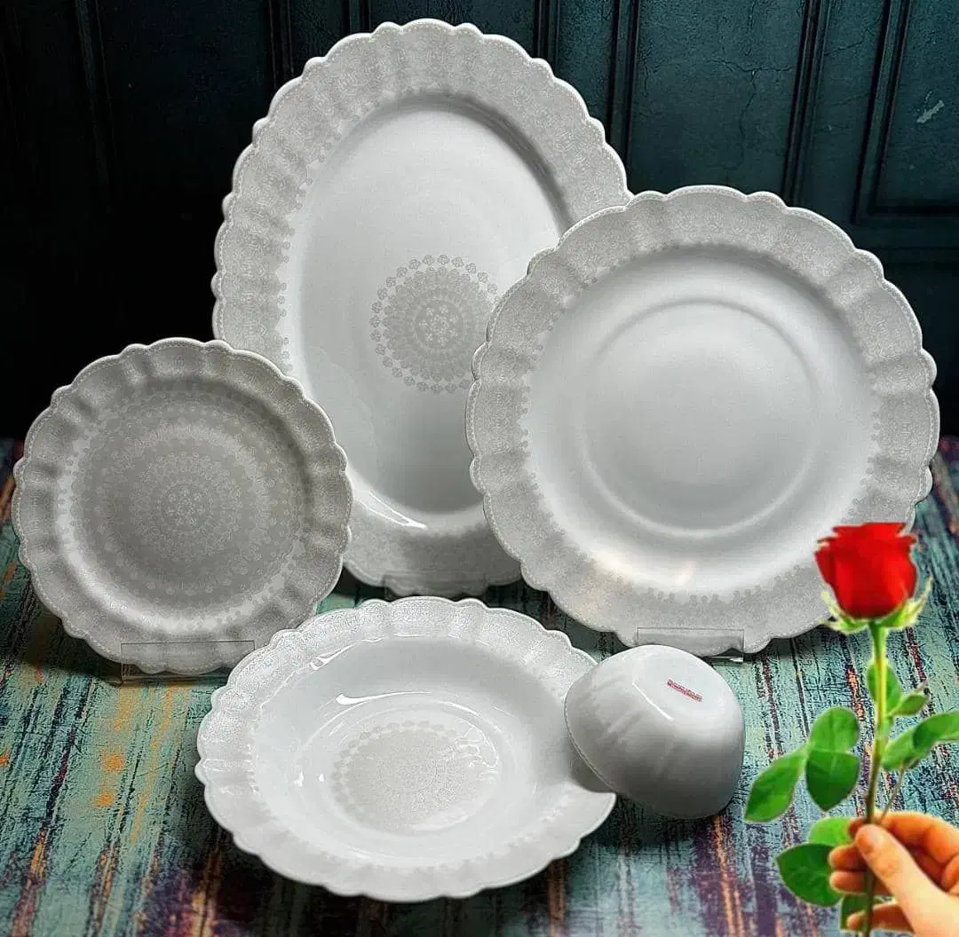 سرویس آیروپال،آرکوپال|ظروف سرو و پذیرایی|شیراز, محراب|دیوار