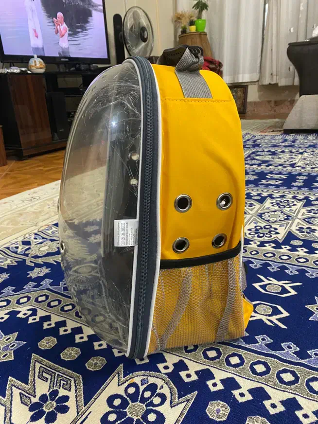 کیفه همراه گربه و پرنده و سگ نو|لوازم جانبی حیوانات|تهران, گلستان (شهرک راه آهن)|دیوار