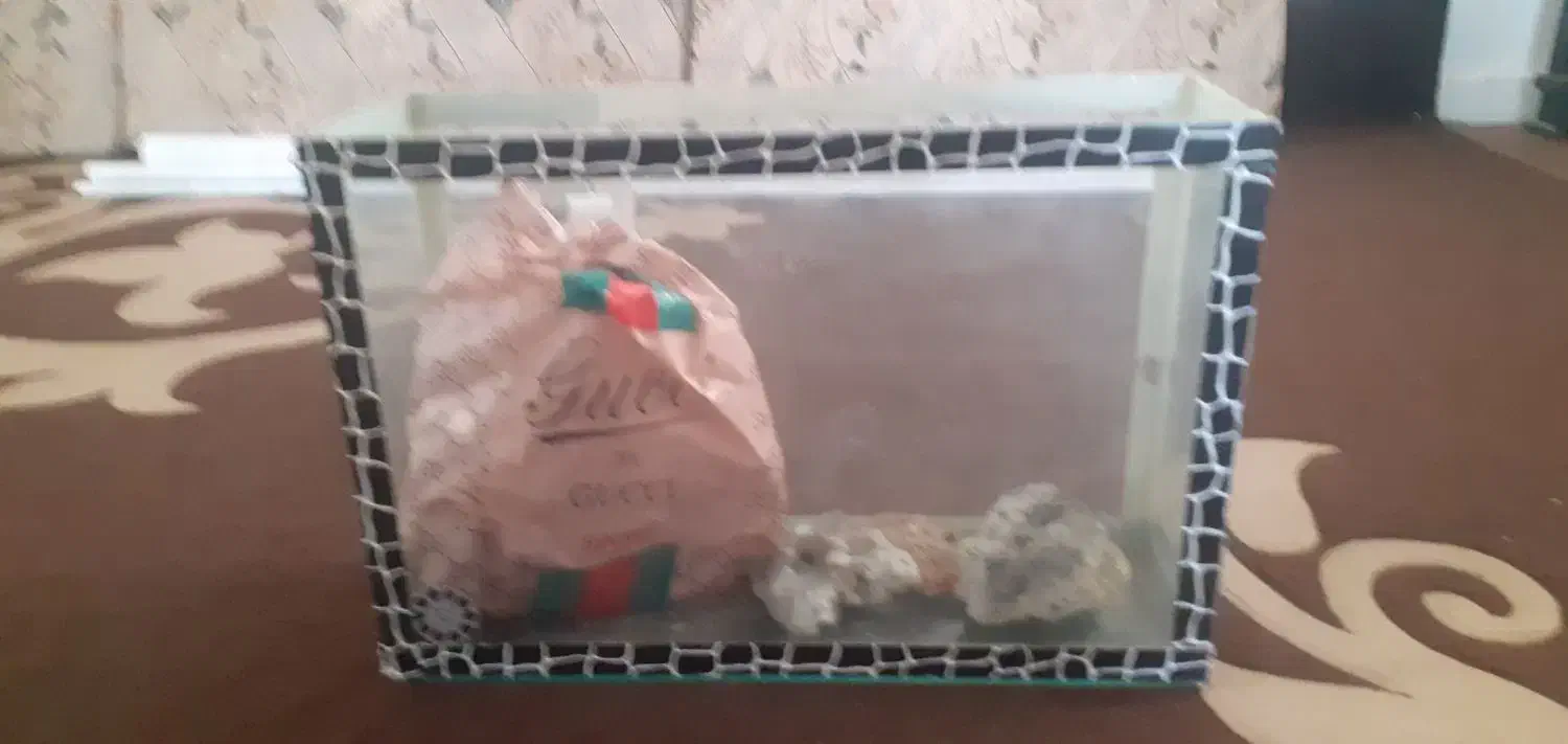 اکواریوم تمیز حرفه ای|ماهی|خرم‌آباد, |دیوار