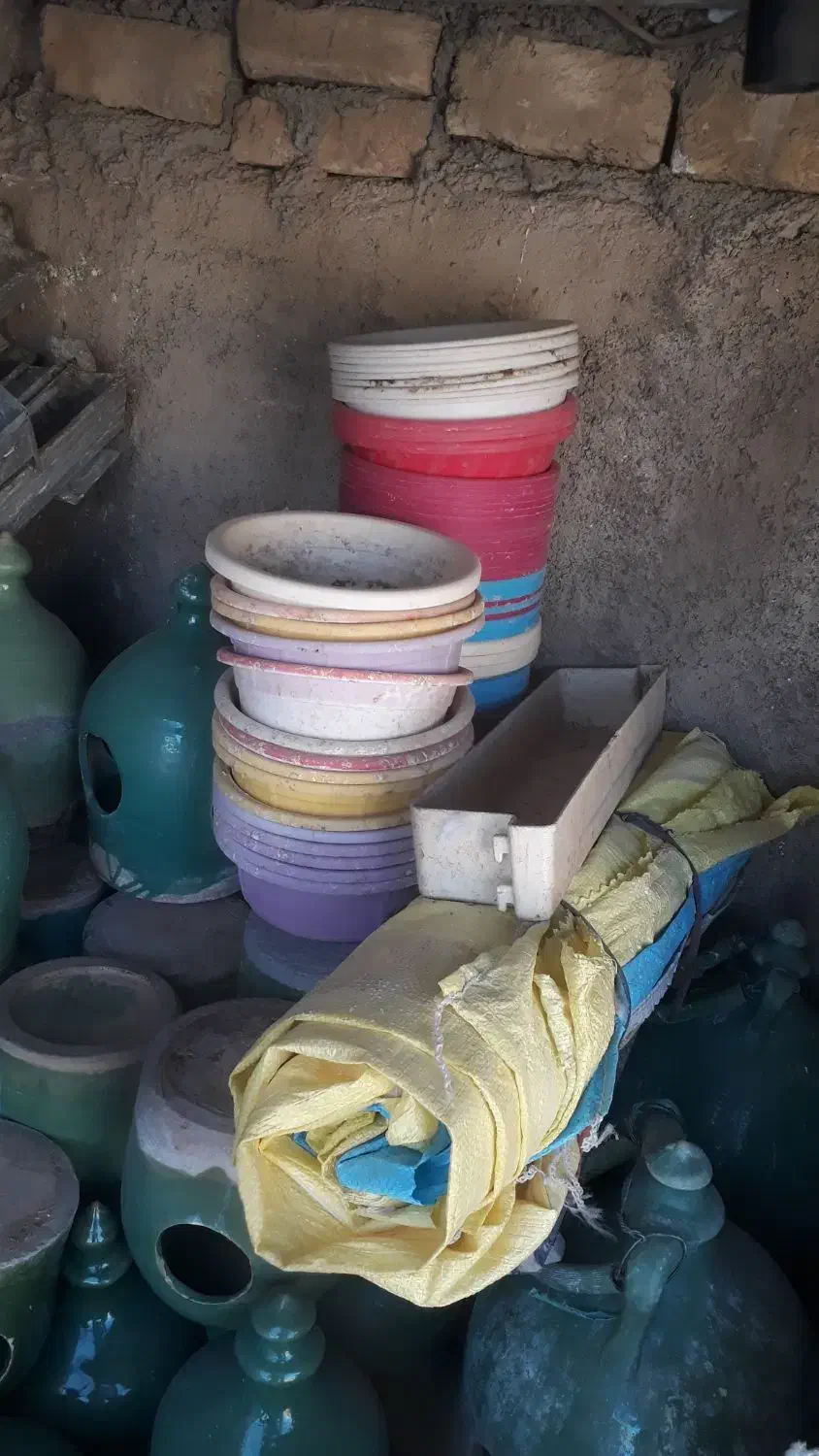 کبوتر پرشی|پرنده|هشتگرد, هشتگرد قدیم|دیوار