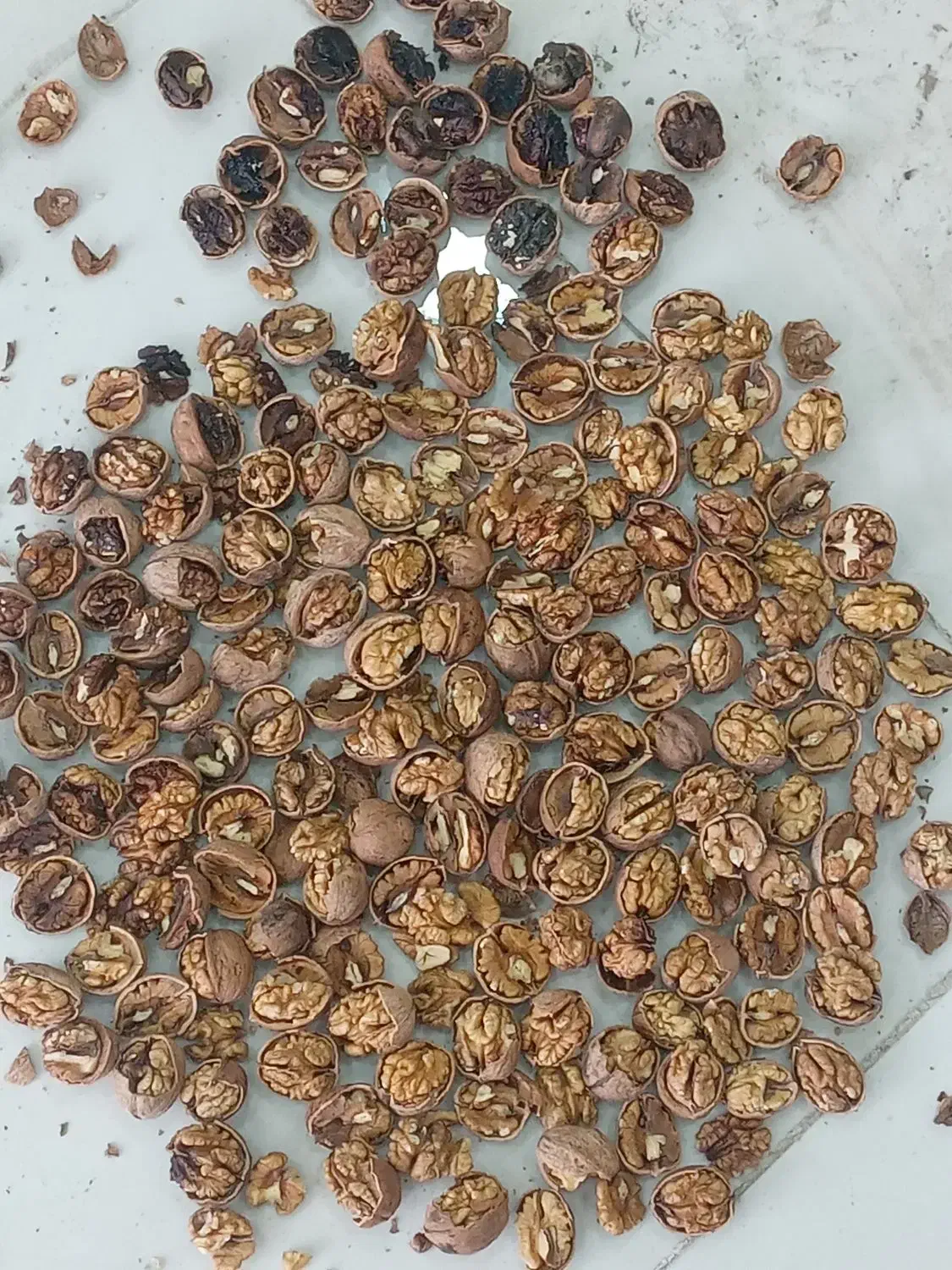 شکستن گردوی ایرانی|خوردنی و آشامیدنی|آذرشهر, |دیوار