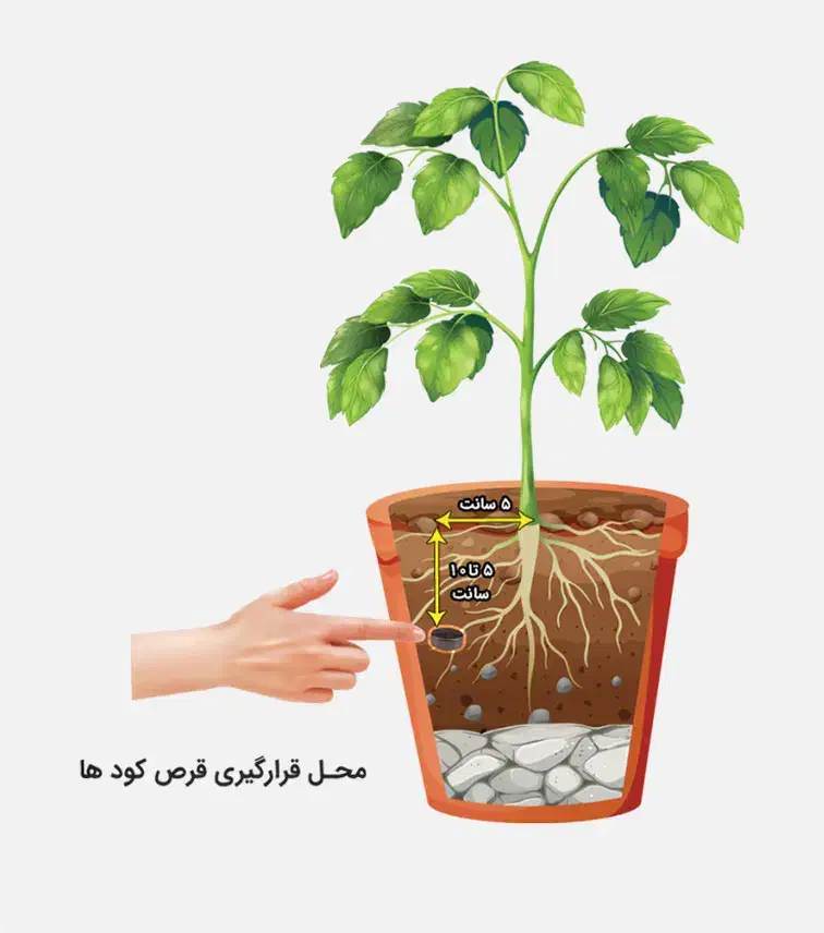 قرص کودگیاهی۱۲۰عددی  دکتربیز|گل و گیاه طبیعی|شیراز, طلاب|دیوار