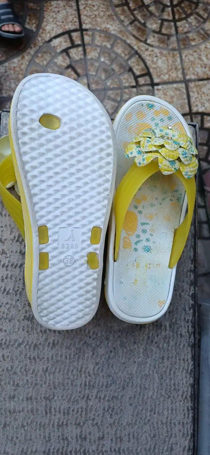 دمپایی زنانه|کیف، کفش، کمربند|خوی, |دیوار