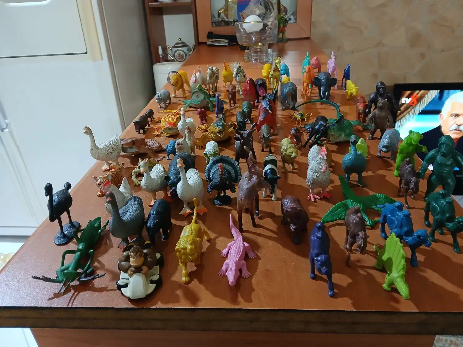 حیوانات اسباب بازی|اسباب‌‌بازی|ری, فیروزآبادی|دیوار