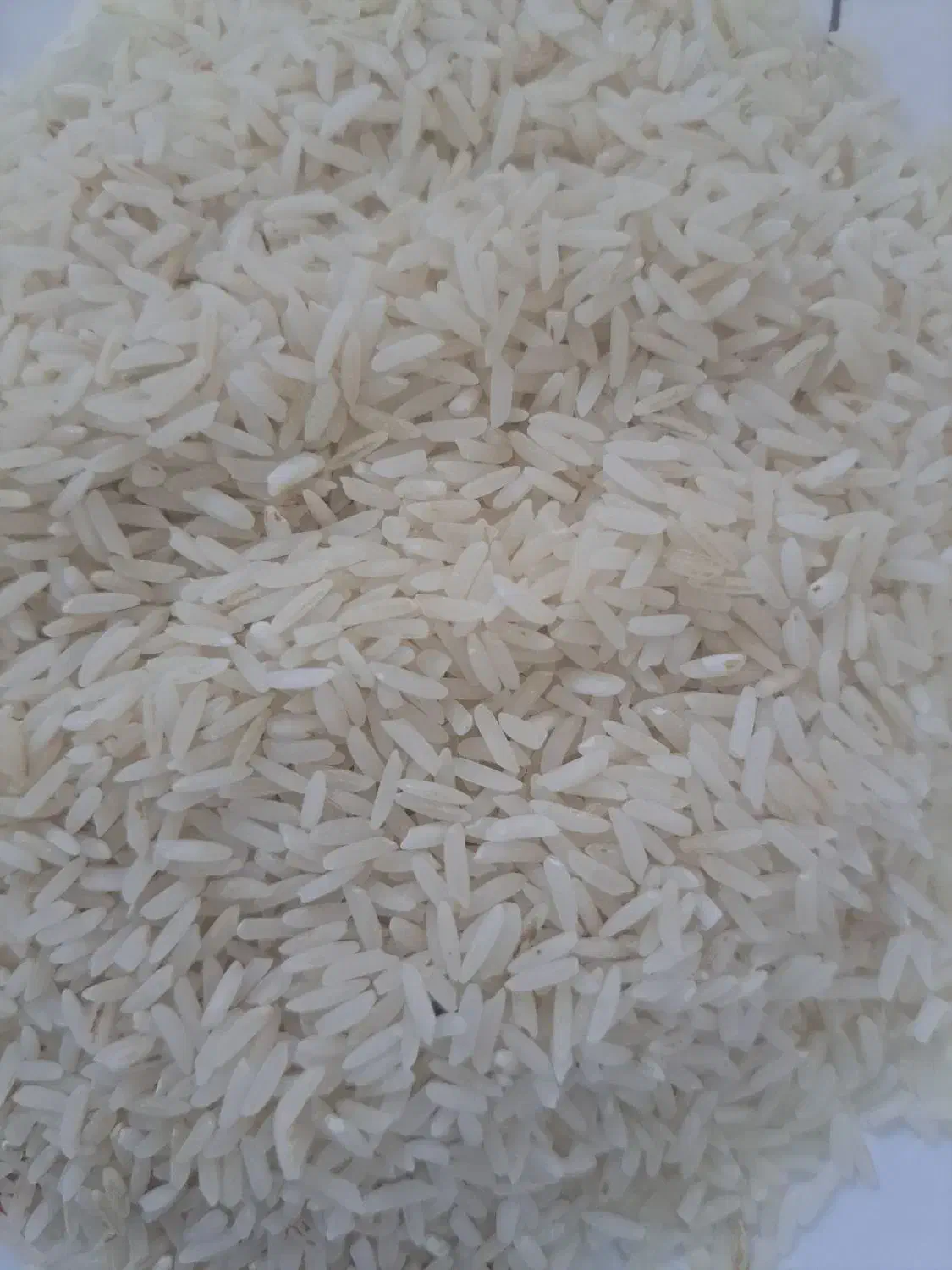 برنج درجه ۱ الموت غربی|خوردنی و آشامیدنی|محمدیه-قزوین, |دیوار