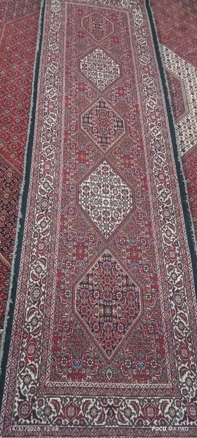 فرش دستبافت کناره|فرش|زنجان, |دیوار