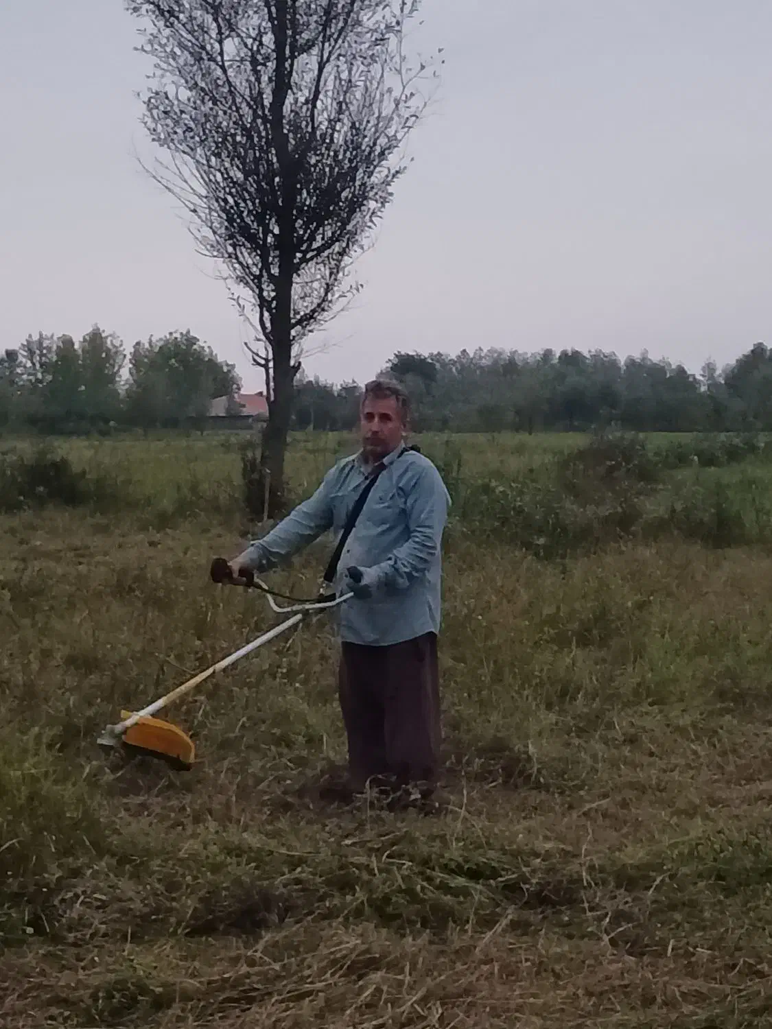 خدمات چمن زنی و علف زنی|خدمات باغبانی و درختکاری|صومعه‌سرا, |دیوار