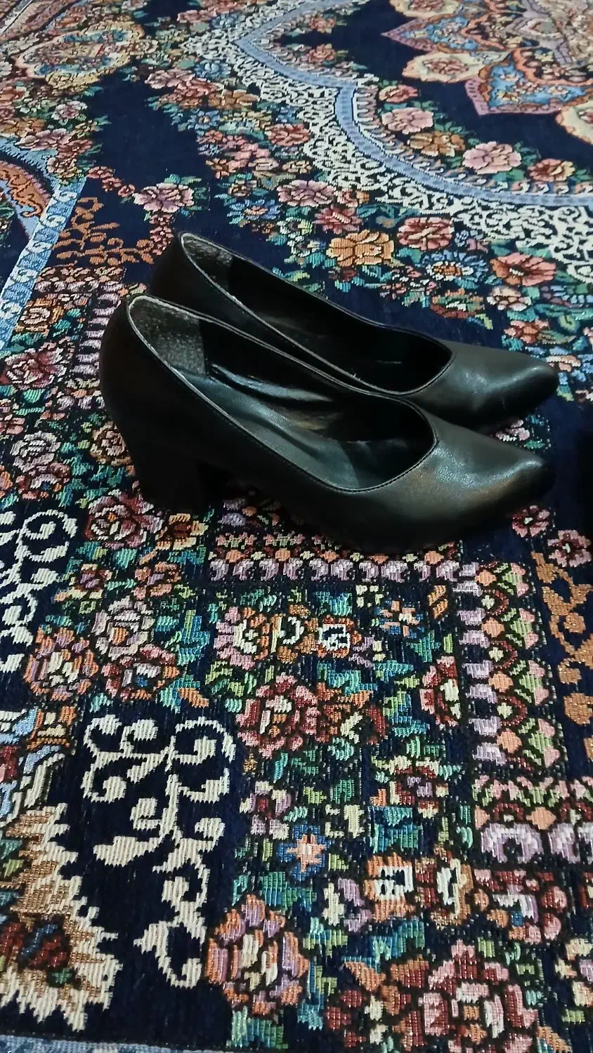 کفش|کیف، کفش، کمربند|شهرکرد, |دیوار