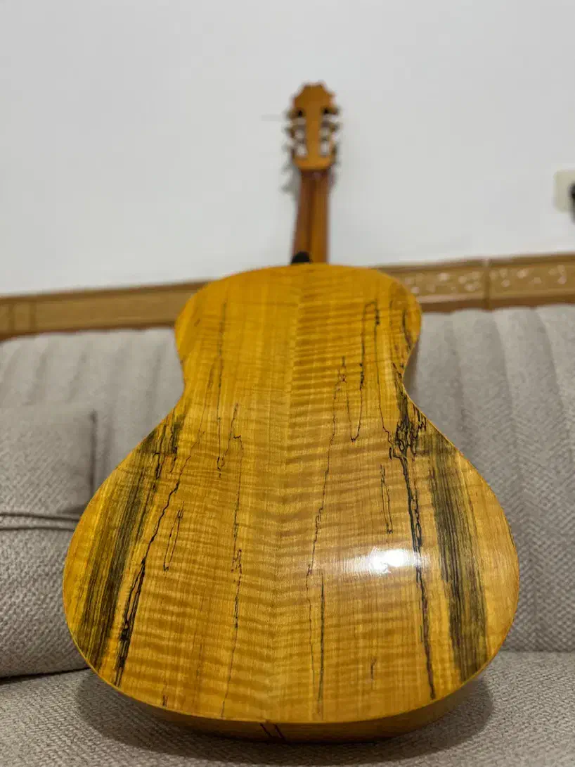 گیتار تمام چوب|گیتار، بیس، امپلیفایر|دورود, |دیوار