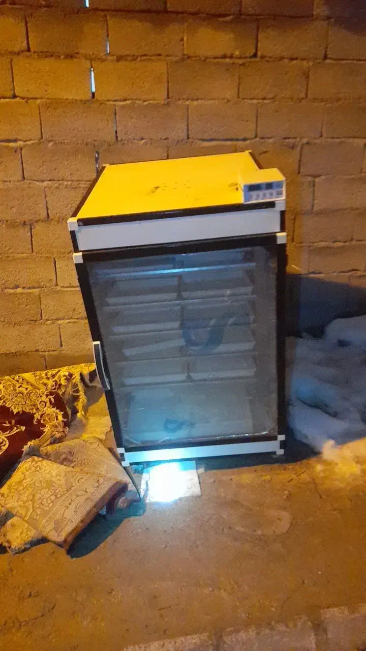 دستگاه جوجه کشی|لوازم جانبی حیوانات|هشترود, |دیوار