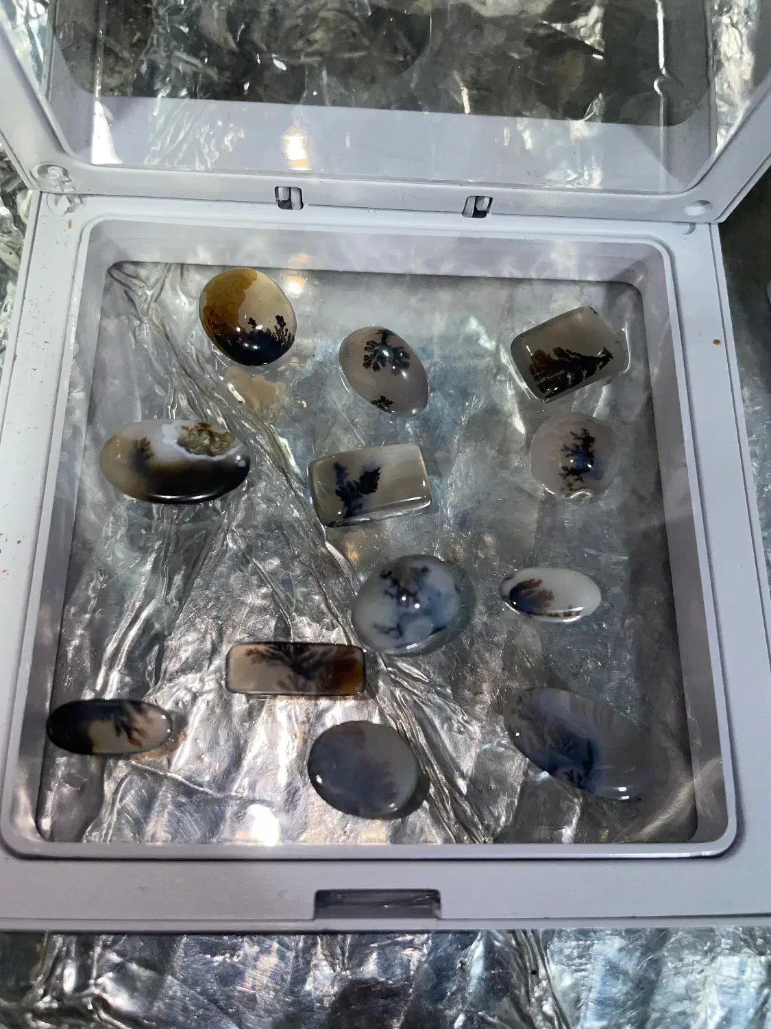 شجر های زیبا|کلکسیون اشیاء عتیقه|لاهیجان, شیخ زاهد|دیوار