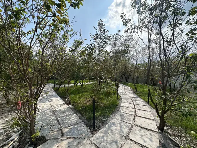 فروش ۷۵۰ متر ویلا سند جاده رشت فومن پسیخان|فروش خانه و ویلا|رشت, شهریاران|دیوار