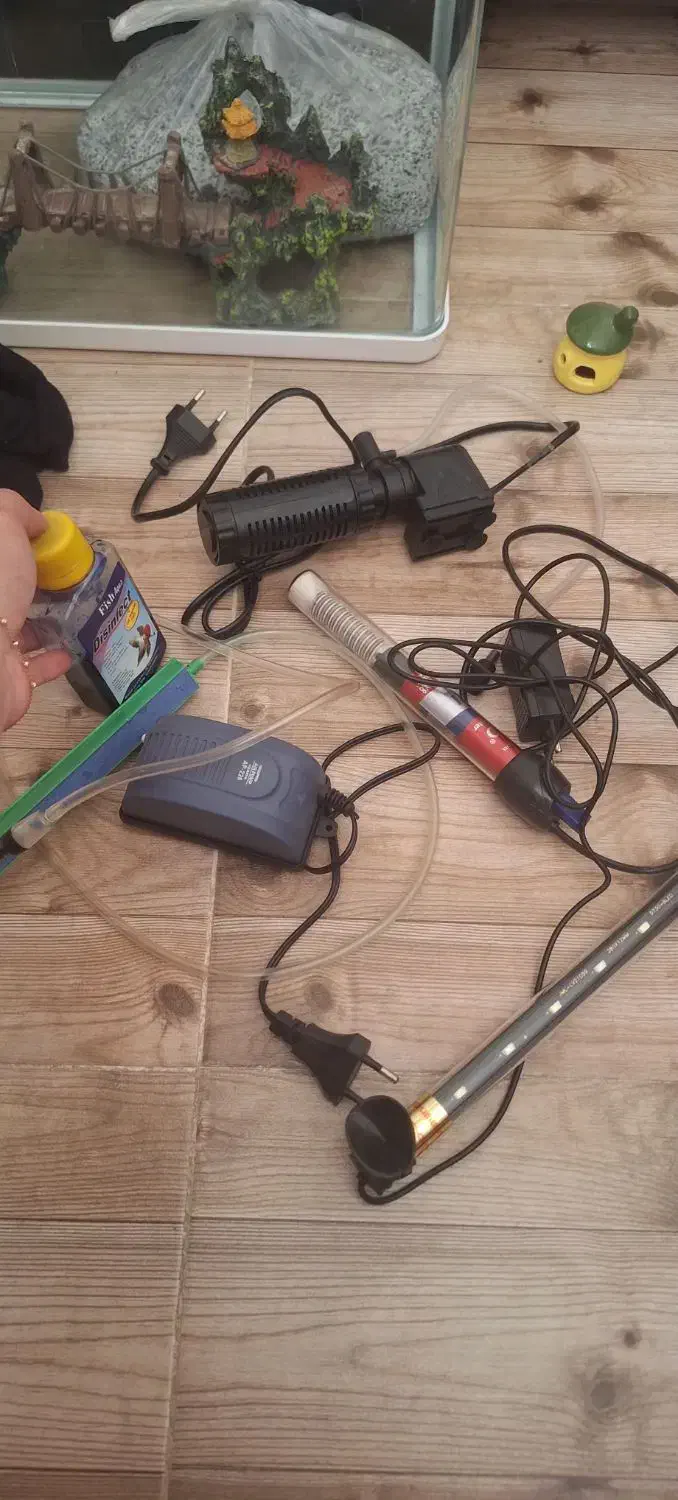 اکواریوم شیشه خم|ماهی|قرچک, مهدیه|دیوار