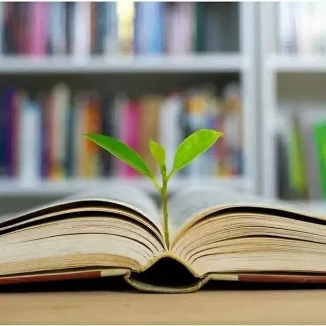 دبیرستان دخترانه|استخدام آموزشی|قم, بنیاد|دیوار