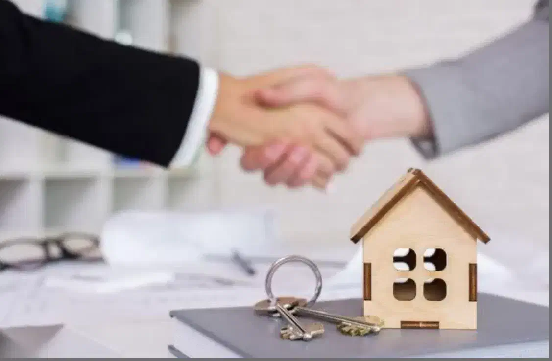 زمین فروشی بلوار دشتی خیابان ملا جعفری|فروش زمین و ملک کلنگی|حمیدیا, |دیوار