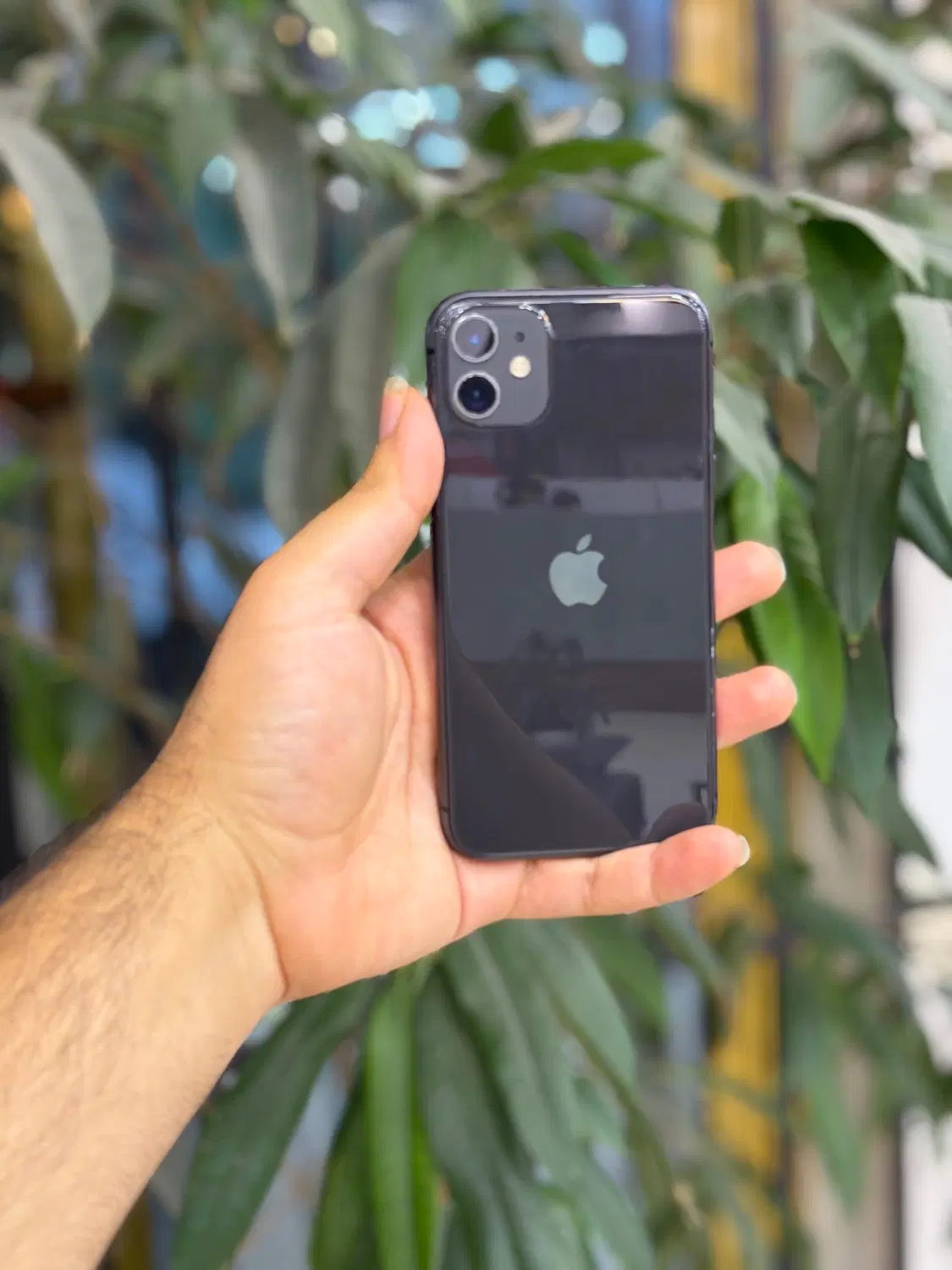 iPhone 11normal|موبایل|تهران, شهرک غرب|دیوار
