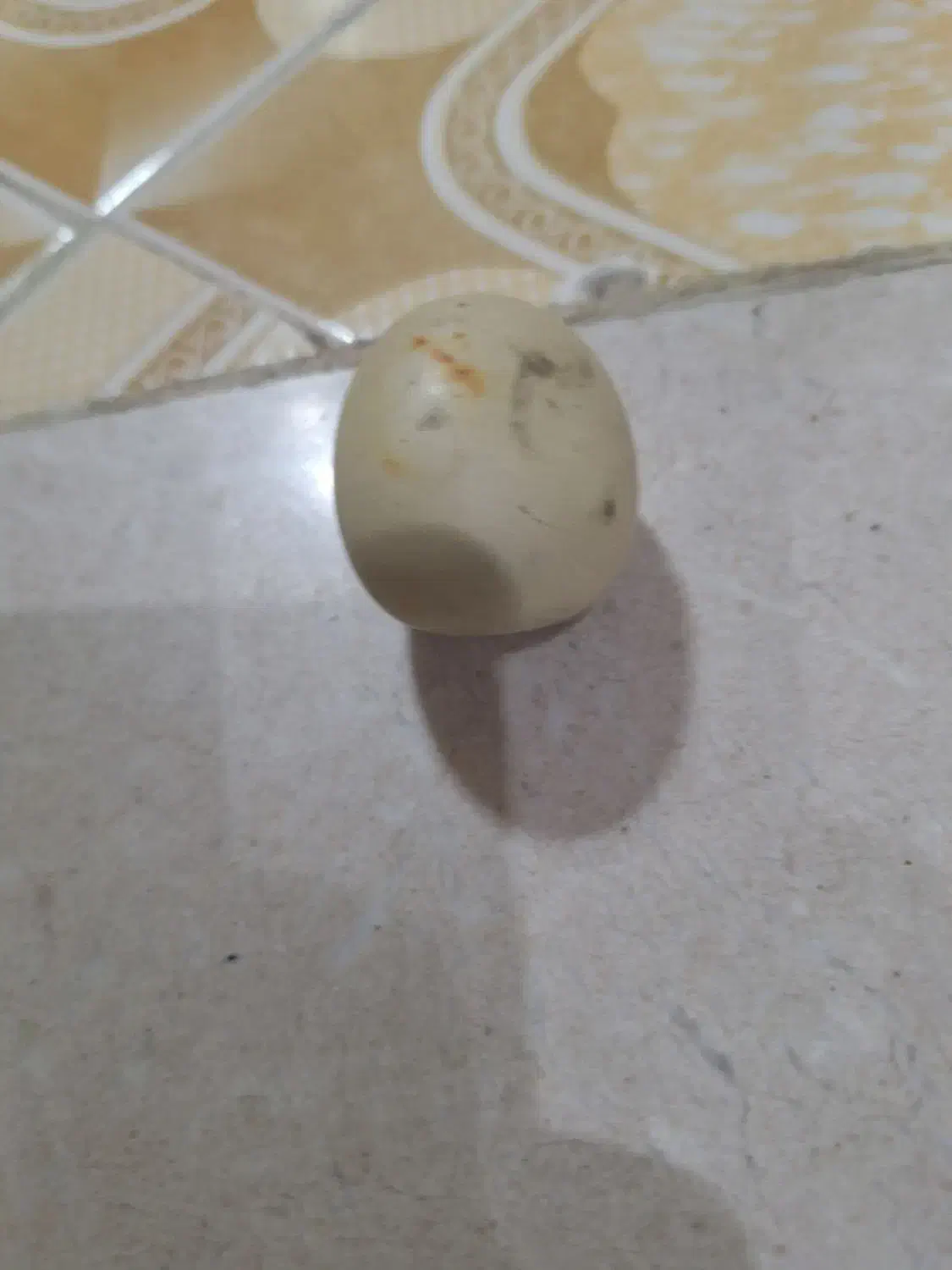 سنگ عتیقه|کلکسیون اشیاء عتیقه|حمیدیا, |دیوار