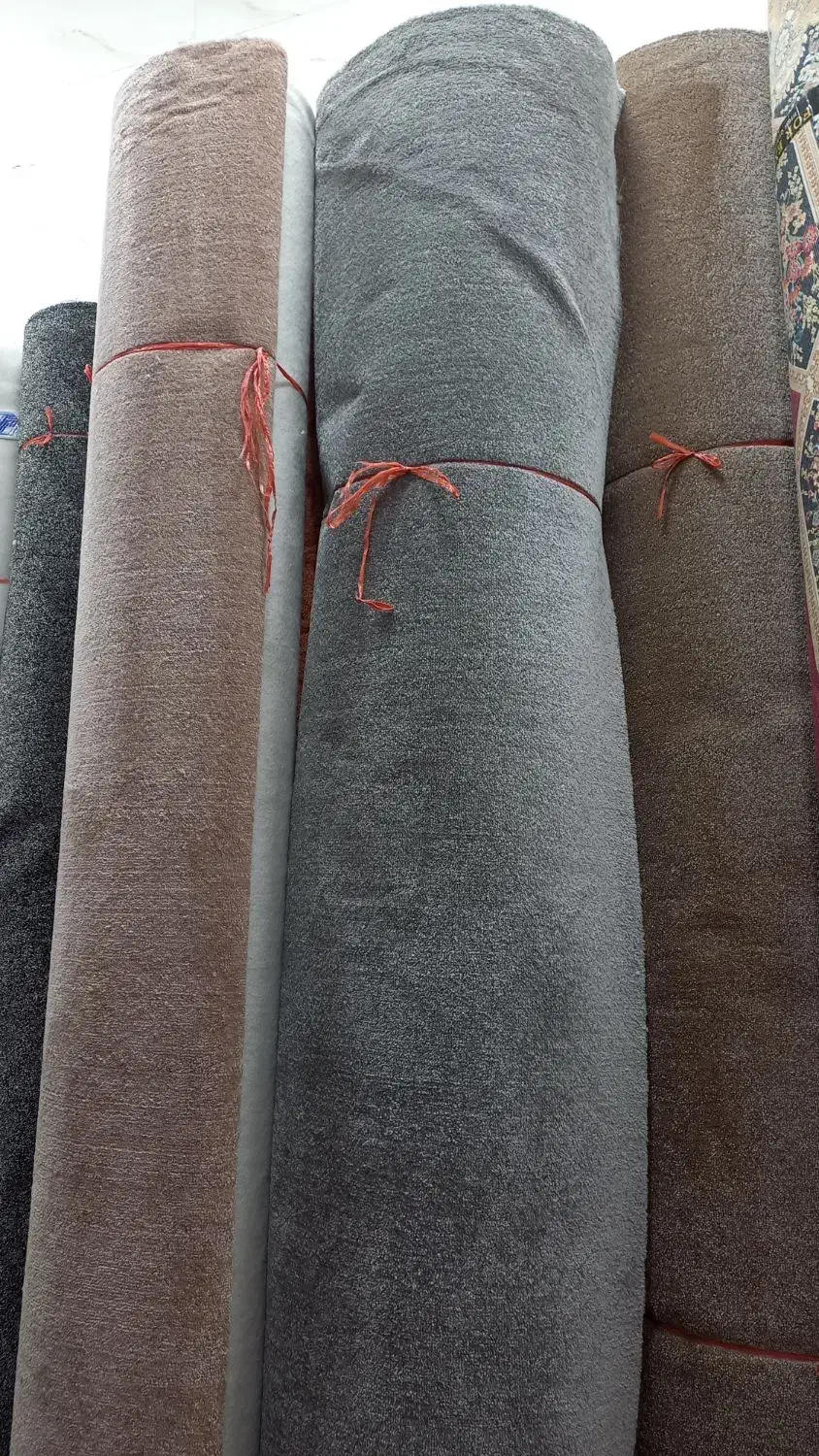 فروش انواع موکت های طرح داروساده وپالازموکت|موکت|بومهن, |دیوار