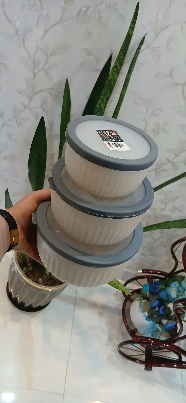 ظرف پلاستیکی 3 عددی درب دار|ظروف نگهدارنده، پلاستیکی، یک‌بارمصرف|الوند, |دیوار