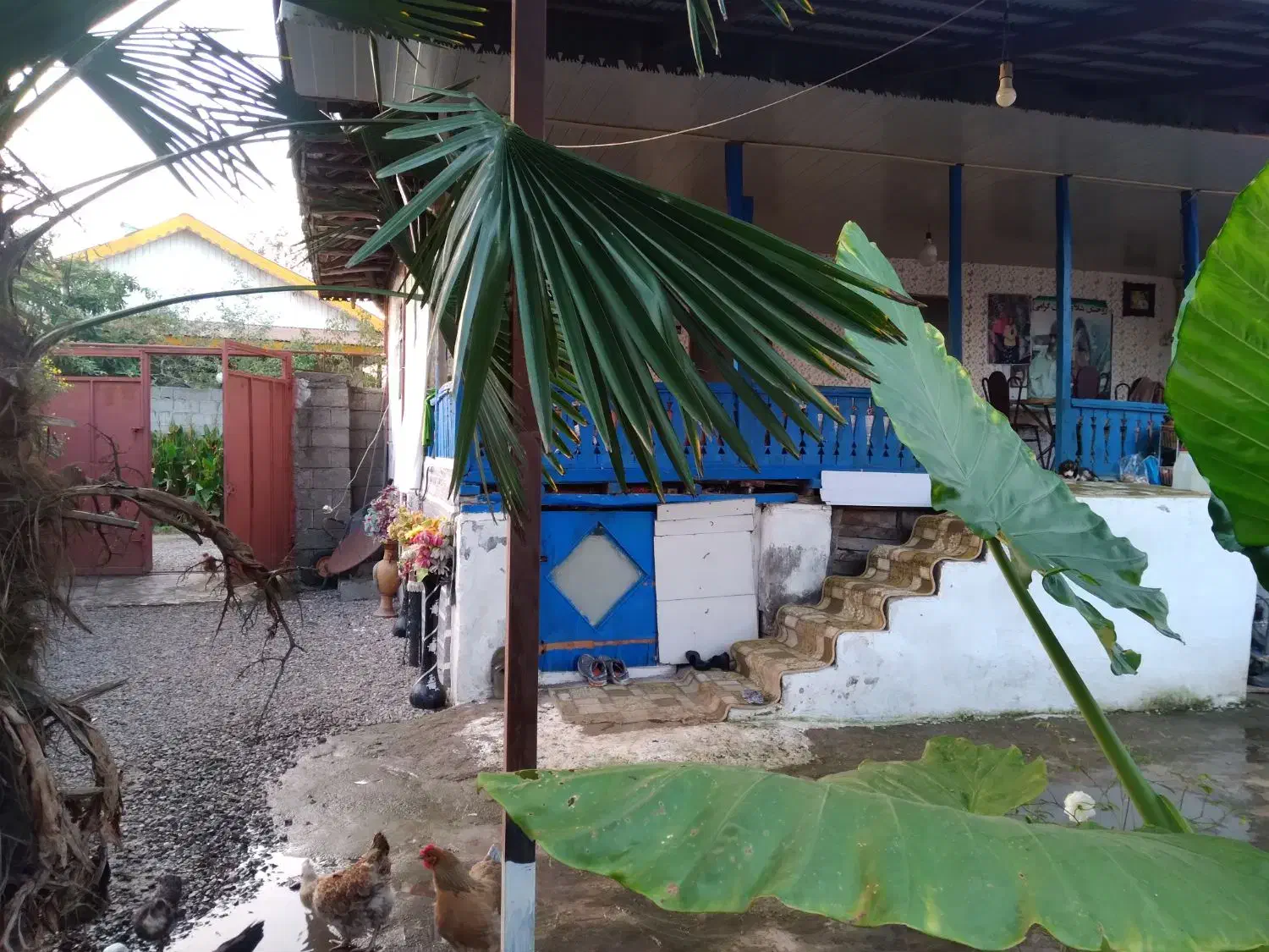 ویلاباغ ۴۰۰ متری بهمراه سوئیت جداگانه/ کوچصفهان|فروش خانه و ویلا|رشت, بلوار گیلان|دیوار