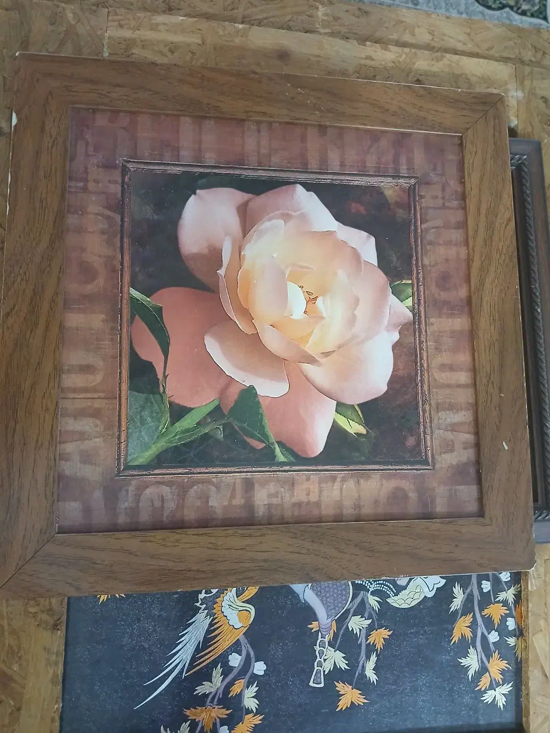 قاب عکسهای زیبا|تابلو، نقاشی، عکس|ایذه, |دیوار