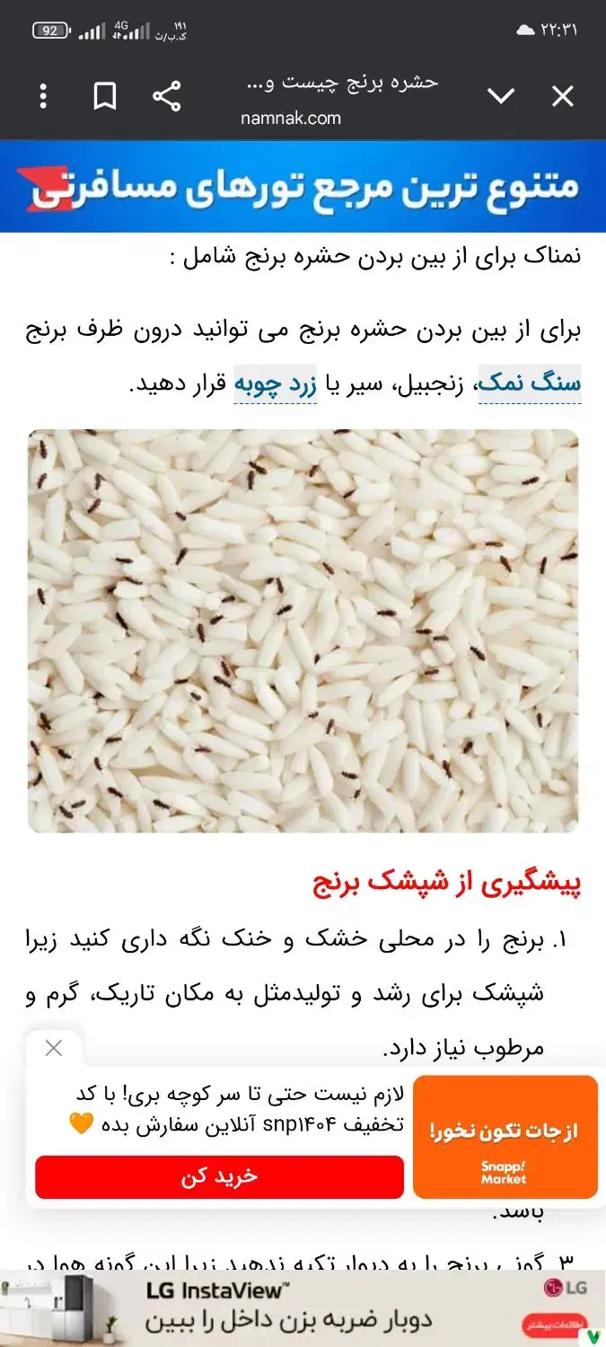 برنج شمال ده کیلویی|خوردنی و آشامیدنی|قم, شاه سید علی|دیوار
