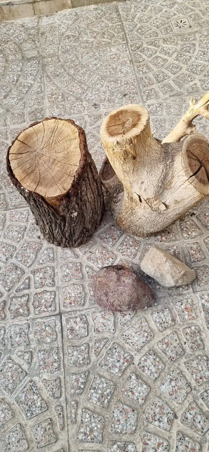 تنه درخت|صنایع دستی و سایر لوازم تزئینی|ساوه, |دیوار