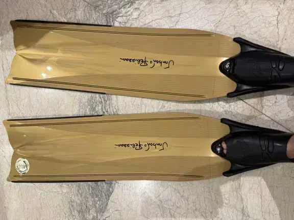 مژدگانی برای فین گم شده|اشیا|کیش, |دیوار