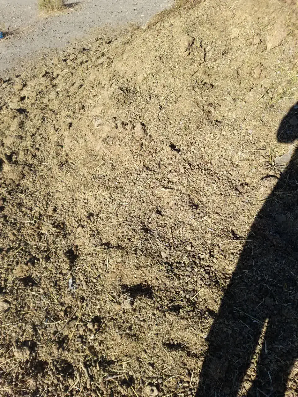 کود|خدمات باغبانی و درختکاری|مود, |دیوار