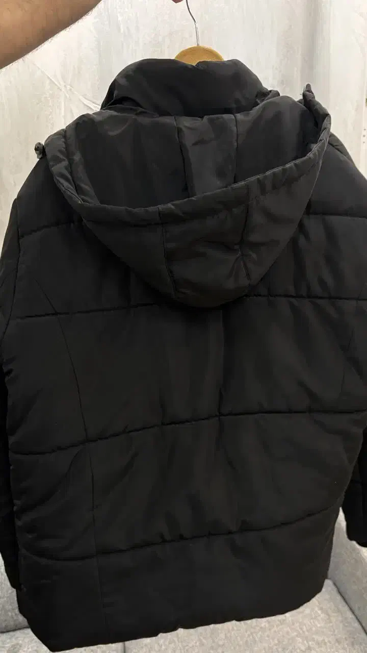 کاپشن مردانه|لباس|پردیس, فاز ۳|دیوار